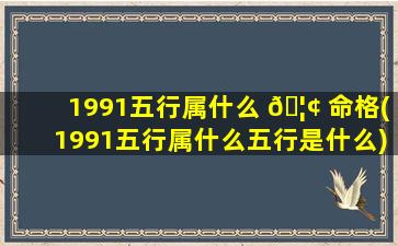 1991五行属什么 🦢 命格(1991五行属什么五行是什么)